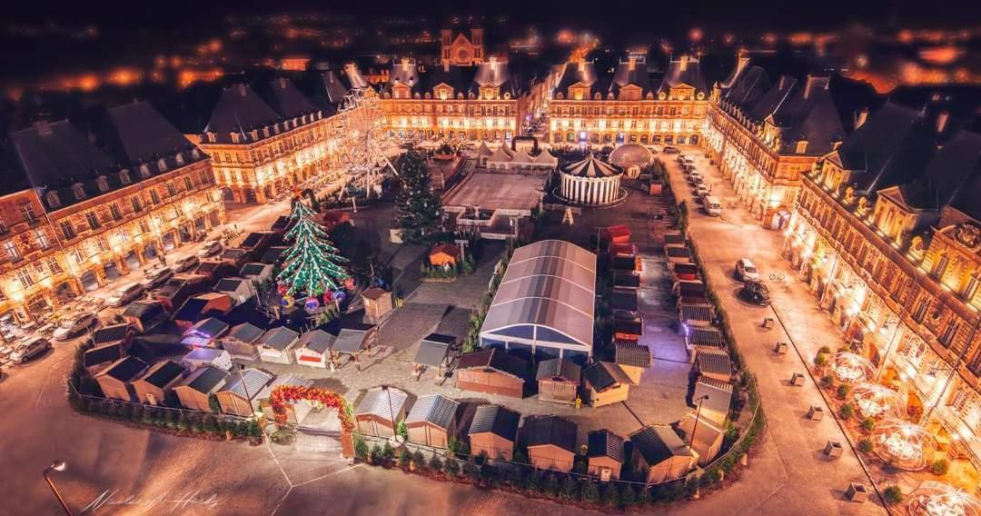 Charleville-MézièresLoft Les Deux Cedres Avec Vue Panoramiqueアパートメント エクステリア 写真