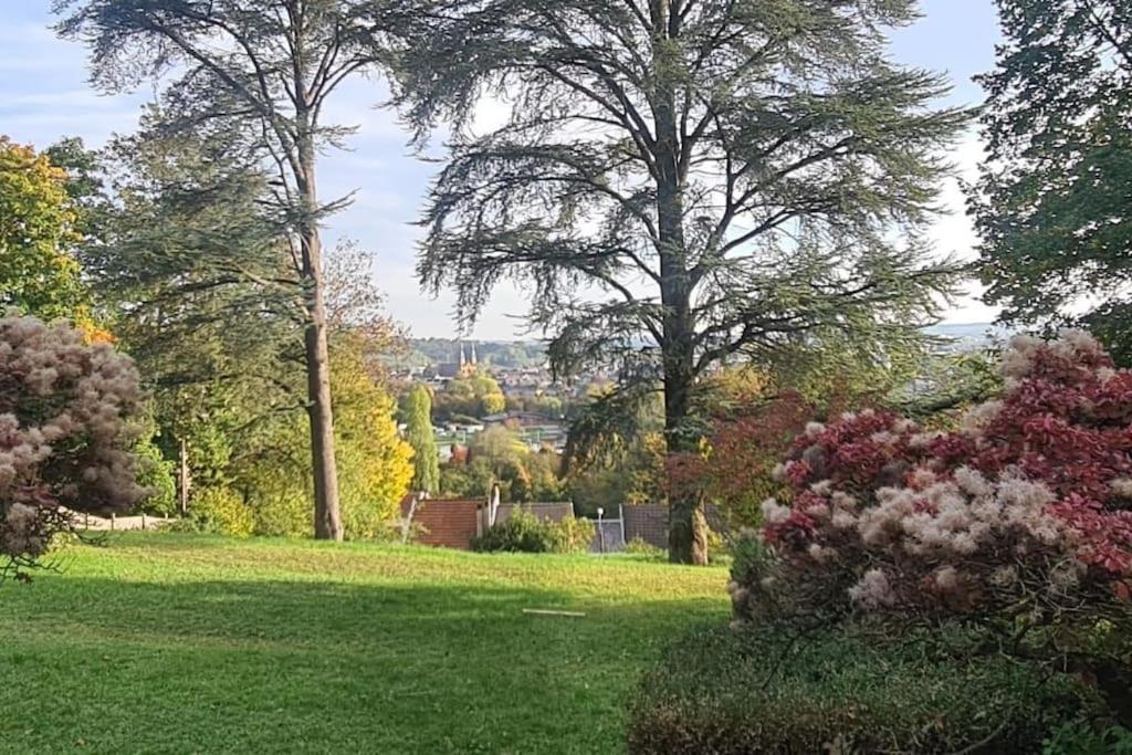 Charleville-MézièresLoft Les Deux Cedres Avec Vue Panoramiqueアパートメント エクステリア 写真